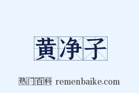黄净子是什么意思的图片